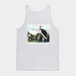 White Ibis from Birds of America (1827) Tank Top